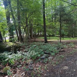 Photo #3 of 610 Brown, Randleman, NC 1.0 acres