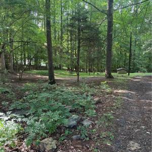 Photo #1 of 610 Brown, Randleman, NC 1.0 acres