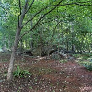 Photo #5 of 610 Brown, Randleman, NC 1.0 acres
