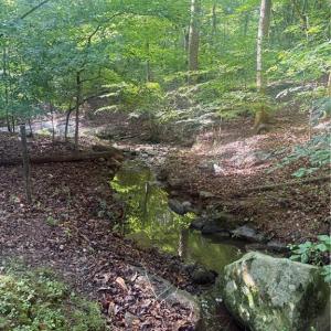 Photo #9 of 610 Brown, Randleman, NC 1.0 acres