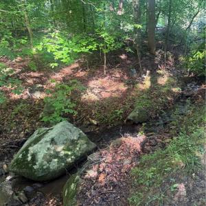 Photo #8 of 610 Brown, Randleman, NC 1.0 acres