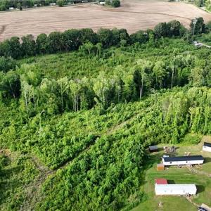 Photo #6 of 1020 Wayne Gobble, Linwood, NC 22.1 acres