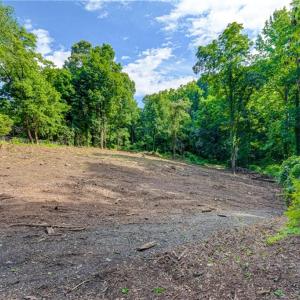 Photo #7 of 1631 Ardsley, Winston-Salem, NC 1.4 acres
