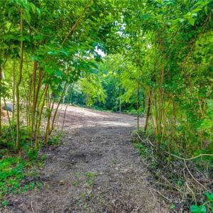 Photo #9 of 1631 Ardsley, Winston-Salem, NC 1.4 acres