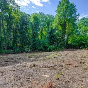 Photo #8 of 1631 Ardsley, Winston-Salem, NC 1.4 acres