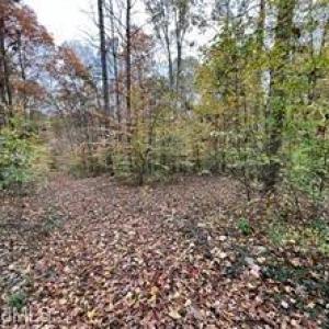 Photo #2 of Aladdin, Pfafftown, NC 20.1 acres