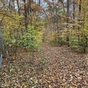 Photo #6 of Aladdin, Pfafftown, NC 20.1 acres