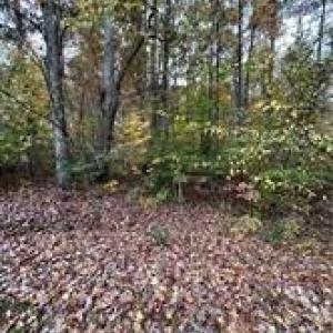 Photo #16 of Aladdin, Pfafftown, NC 20.1 acres
