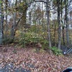 Photo #12 of Aladdin, Pfafftown, NC 20.1 acres