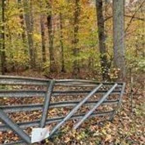 Photo #7 of Aladdin, Pfafftown, NC 20.1 acres