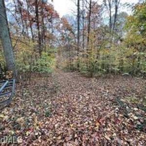 Photo #3 of Aladdin, Pfafftown, NC 20.1 acres