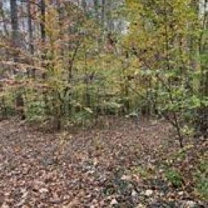 Photo #5 of Aladdin, Pfafftown, NC 20.1 acres