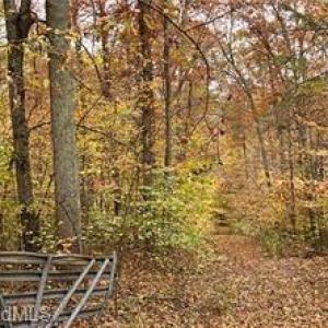 Photo #9 of Aladdin, Pfafftown, NC 20.1 acres
