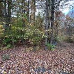 Photo #18 of Aladdin, Pfafftown, NC 20.1 acres