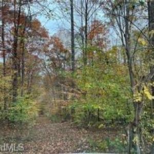 Photo #11 of Aladdin, Pfafftown, NC 20.1 acres