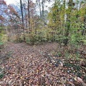 Photo #4 of Aladdin, Pfafftown, NC 20.1 acres