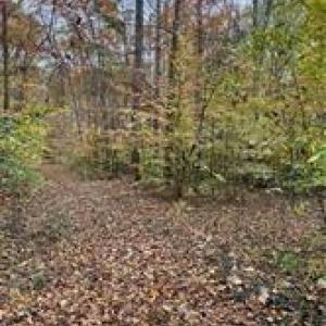 Photo #8 of Aladdin, Pfafftown, NC 20.1 acres