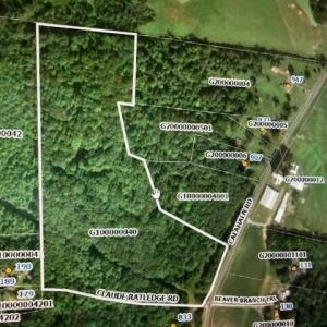 North tract, +/-23 acres North of Claude Ratledge Rd
