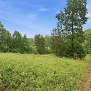 Photo #16 of 23146 Nc Highway 109, Denton, NC 7.9 acres