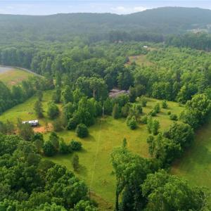 Photo #7 of 23146 Nc Highway 109, Denton, NC 7.9 acres