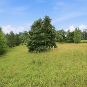 Photo #18 of 23146 Nc Highway 109, Denton, NC 7.9 acres