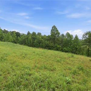 Photo #15 of 23146 Nc Highway 109, Denton, NC 7.9 acres