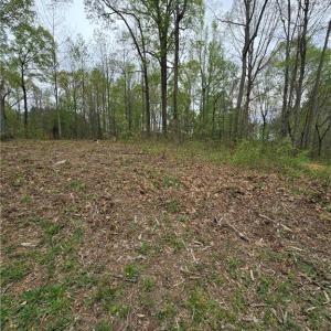 Photo #7 of 9079 NC Highway 109, Wallburg, NC 1.0 acres