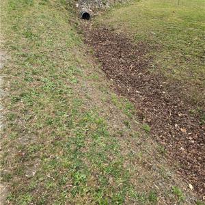 Photo #3 of 9079 NC Highway 109, Wallburg, NC 1.0 acres