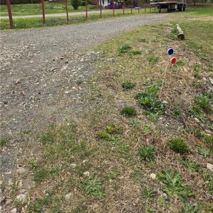 Photo #4 of 9079 NC Highway 109, Wallburg, NC 1.0 acres