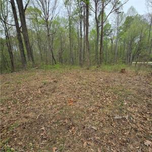Photo #8 of 9079 NC Highway 109, Wallburg, NC 1.0 acres