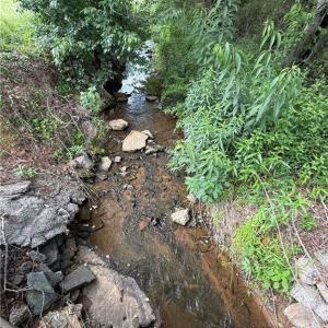 Photo #5 of 0-0-0 Beechwood, King, NC 51.0 acres