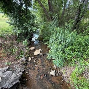 Photo #4 of 0-0-0 Beechwood, King, NC 51.0 acres