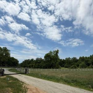 Photo #6 of 4675 Midway School, Thomasville, NC 72.6 acres