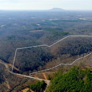 Photo #23 of 3313 NC Highway 66, Westfield, NC 71.0 acres