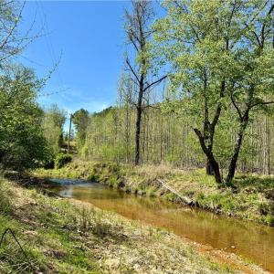 Photo #4 of 3313 NC Highway 66, Westfield, NC 71.0 acres