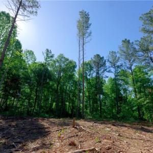 Photo #6 of Carson, Cleveland, NC 8.8 acres
