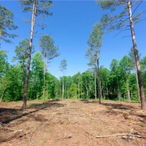 Photo #7 of Carson, Cleveland, NC 8.8 acres