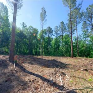 Photo #5 of Carson, Cleveland, NC 8.8 acres