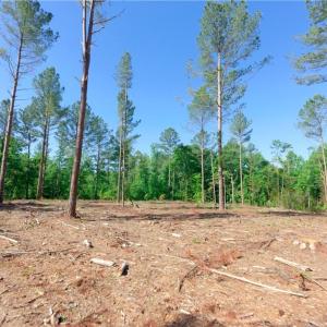 Photo #4 of Carson, Cleveland, NC 8.8 acres