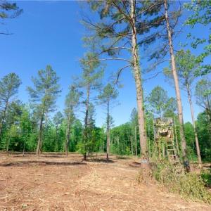 Photo #8 of Carson, Cleveland, NC 8.8 acres