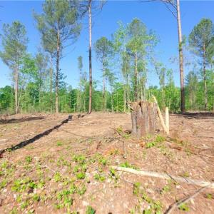Photo #7 of Carson, Cleveland, NC 10.2 acres