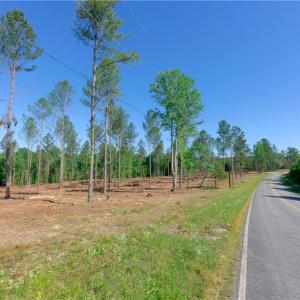 Photo #3 of Carson, Cleveland, NC 10.2 acres