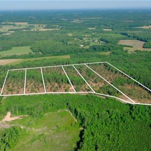 Photo #14 of Carson, Cleveland, NC 10.2 acres