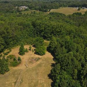 Photo #23 of 7767 Pearman Quarry, Kernersville, NC 32.1 acres