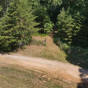 Photo #7 of 7767 Pearman Quarry, Kernersville, NC 32.1 acres