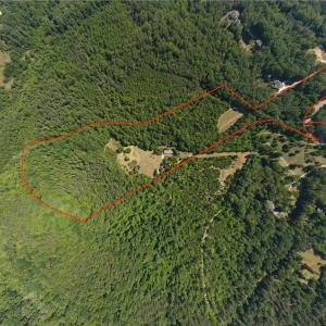 Photo #1 of 7767 Pearman Quarry, Kernersville, NC 32.1 acres