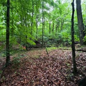 Photo #9 of 7767 Pearman Quarry, Kernersville, NC 32.1 acres