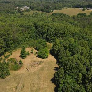Photo #24 of 7767 Pearman Quarry, Kernersville, NC 32.1 acres