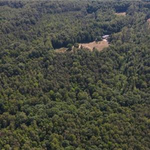 Photo #19 of 7767 Pearman Quarry, Kernersville, NC 32.1 acres