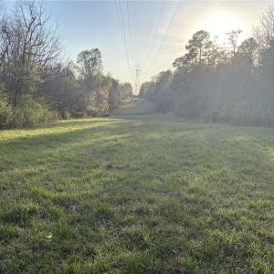 Photo #23 of 1500 Wiley Lewis, Greensboro, NC 188.8 acres